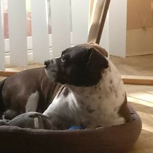 Meet your Posher, Sharon